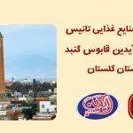 نمایندگی تانیس در شمال