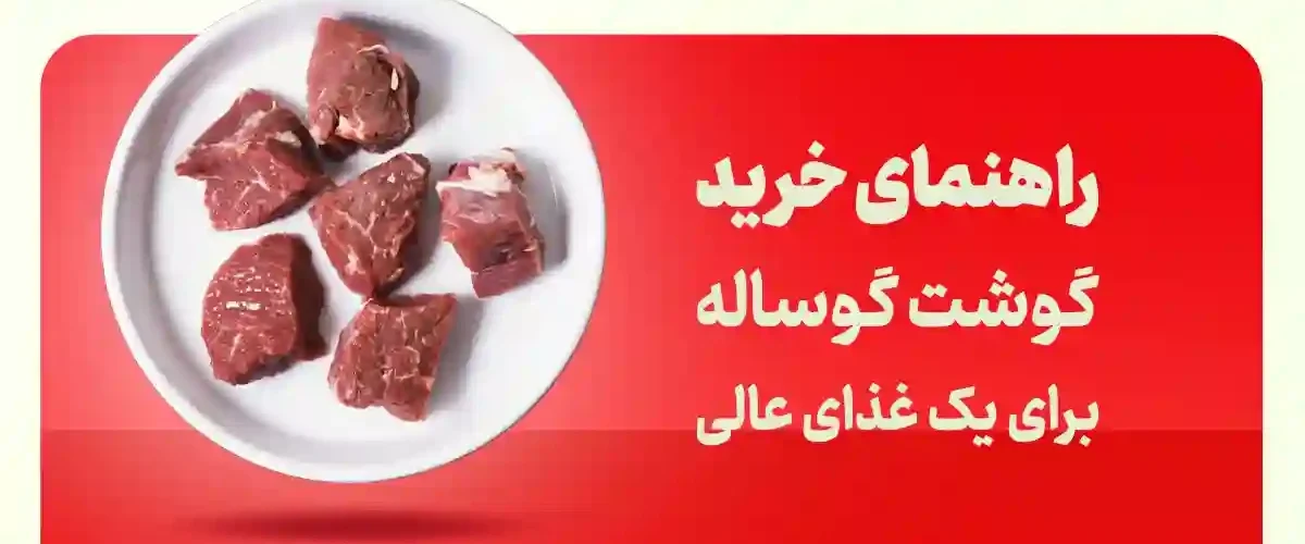 فیله گوشت