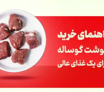 فیله گوشت