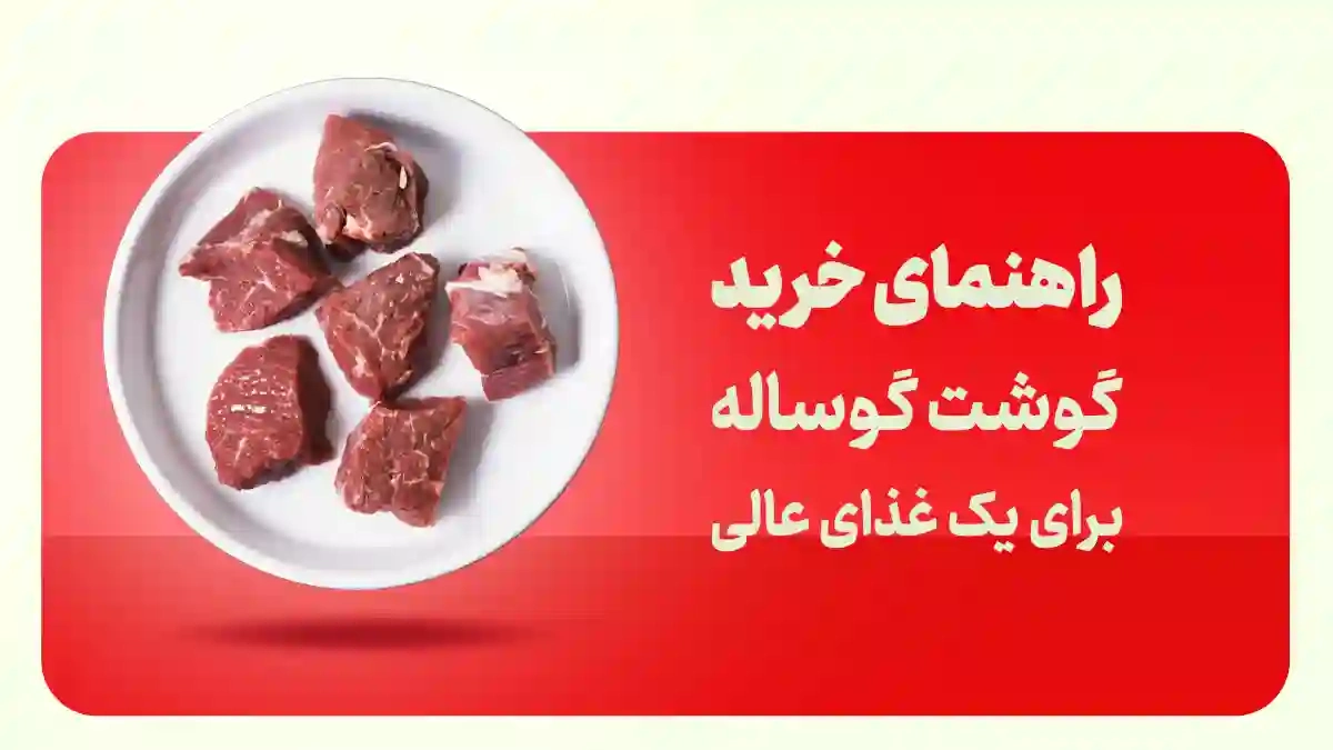 فیله گوشت