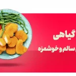 ناگت گیاهی