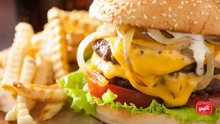 پنیر مخصوص ساندویچ همبرگر