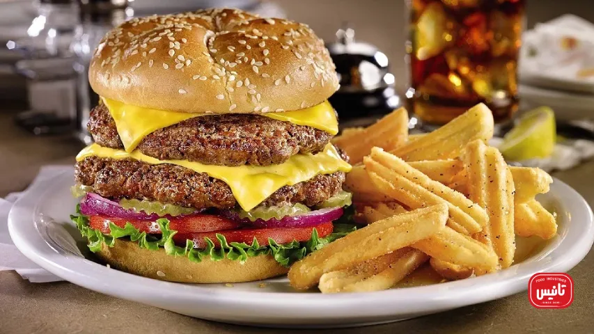 ساندویچ دوبل برگر