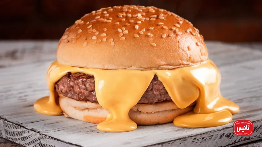 پنیر گودا برای همبرگر
