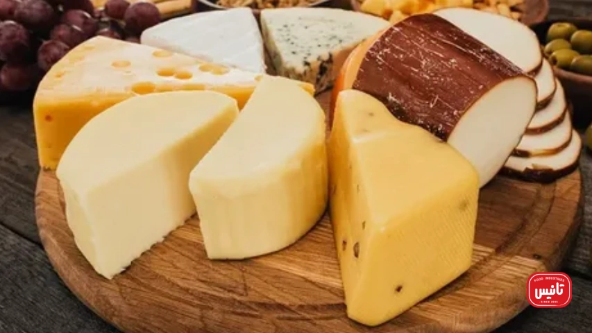 پنیر روی نان همبرگر