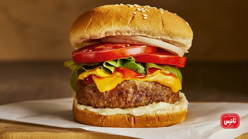 ترتیب قرارگیری مواد در انواع ساندویچ برگر