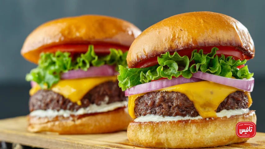مواد تشکیل‌دهنده همبرگر کلاسیک آمریکایی