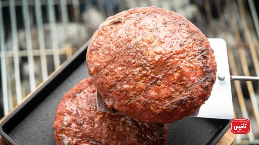 تشخیص سلامت گوشت همبرگر