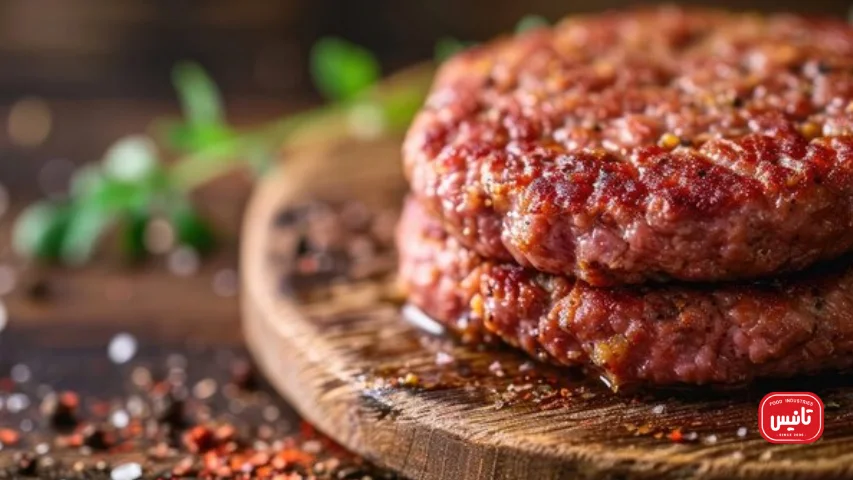 انواع همبرگر شرکتی