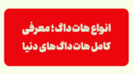 انواع هات داگ