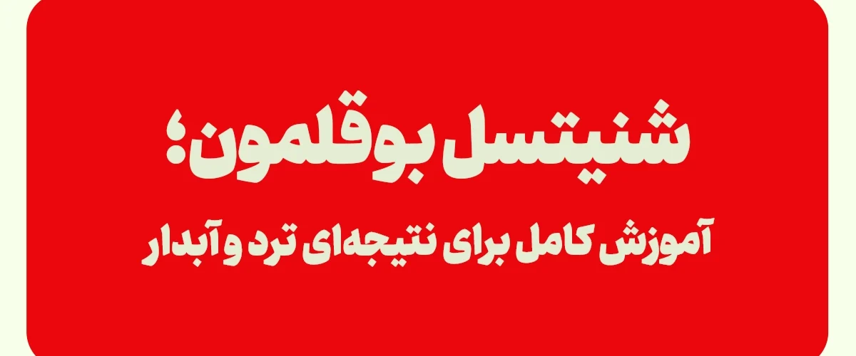 شنیسل بوقلمون