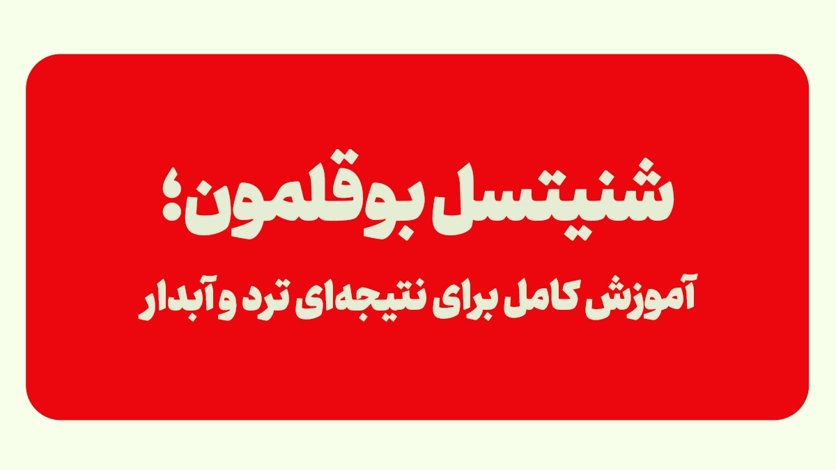 شنیسل بوقلمون