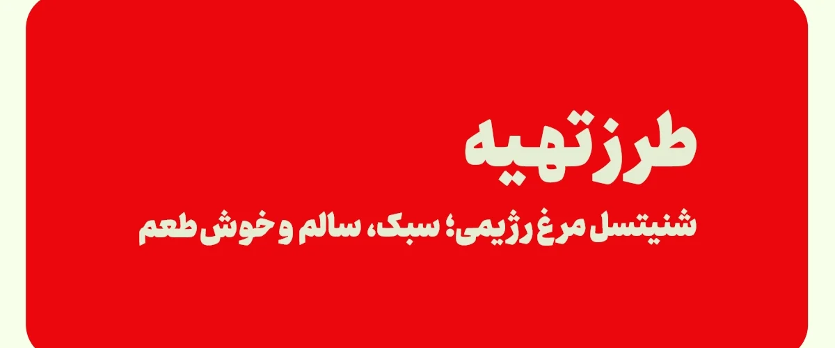 شنیسل مرغ رژیمی