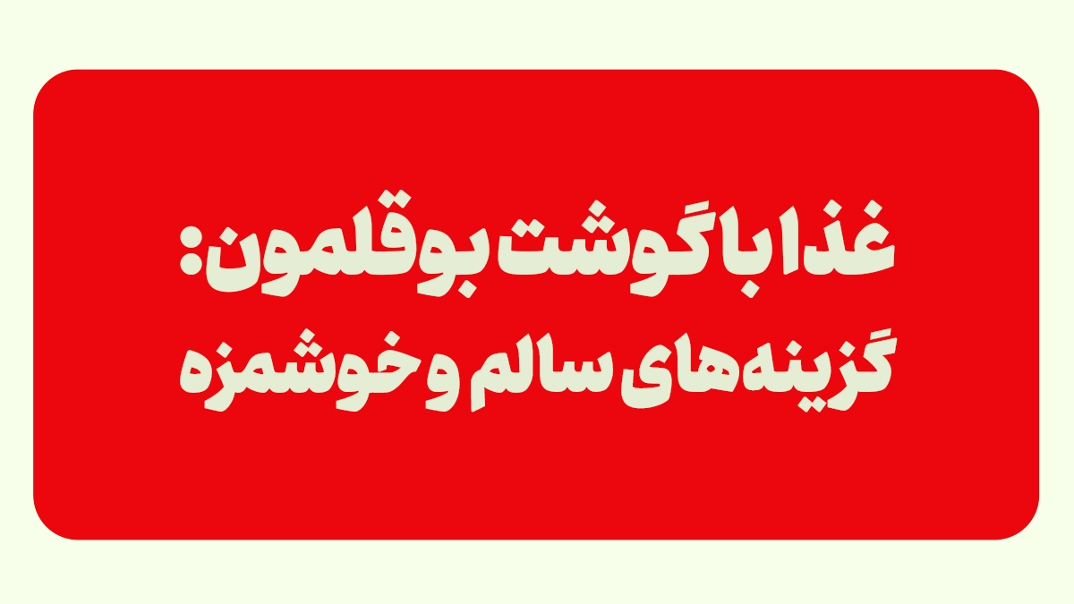 غذا با گوشت چرخ شده بوقلمون