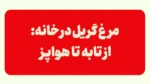 مرغ گریل