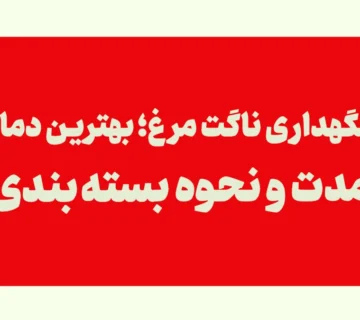 نگهداری ناگت مرغ